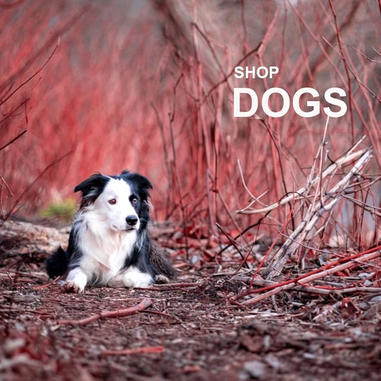 Orvis | Premium Fishing, Hunting & Outdoor Lifestyle Goods,Crafted for Fishing, Adventure & Nature